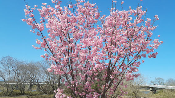 Miyagawa-Tsutsumi Park