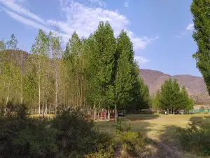 Camping El Rincon de Leo