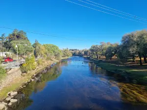 Puente Colgante