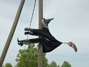 Nagykőrösi Vásár