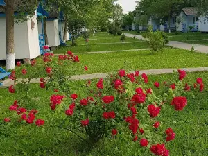 Satul de Vacanță CampoEuroClub Delta Dunării