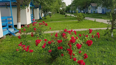 Satul de Vacanță CampoEuroClub Delta Dunării