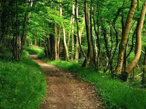 GR14 Sentier des Ardennes