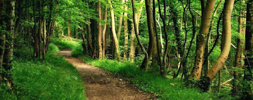 GR14 Sentier des Ardennes