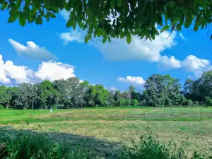 Sree Lakhan Singh Garden