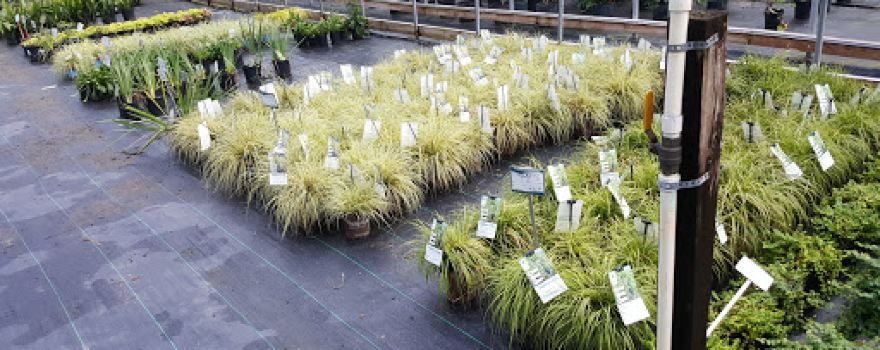 Outdoor Environments Inc