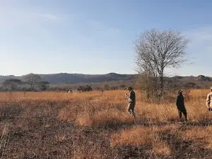 Muhesi Game Reserve