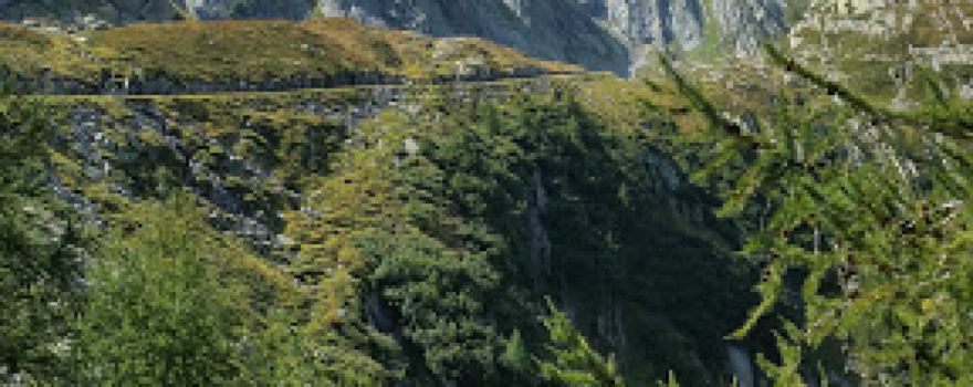 Maggia