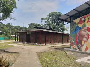 Pista De Patinaje