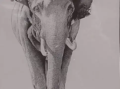 Jay Johnson Public Library