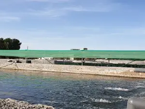 Wafra Fish Farm