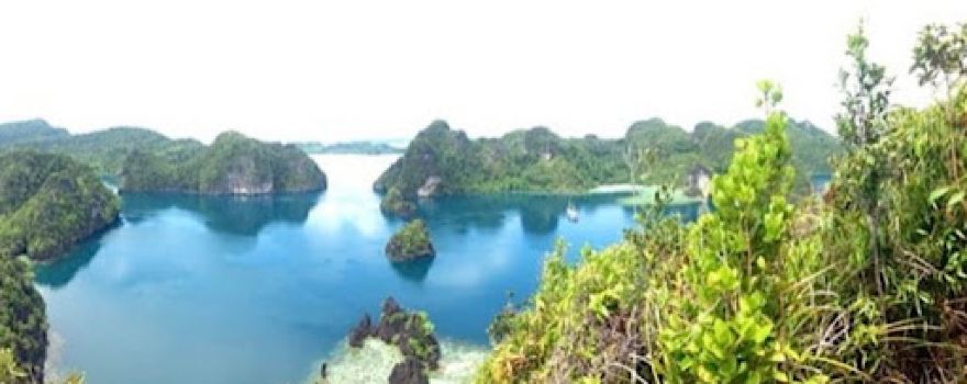 Pulau Misool
