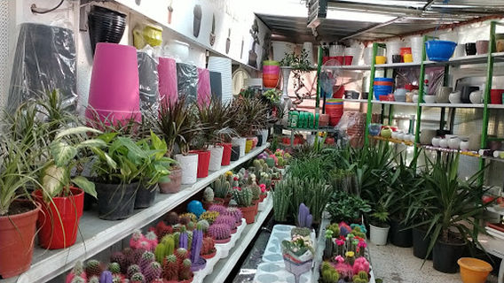 Sousse