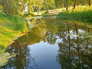 Łowisko Wielgie