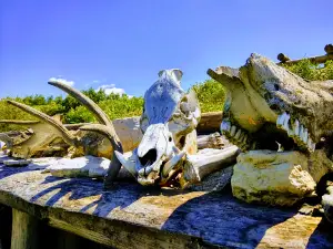 Ancient world