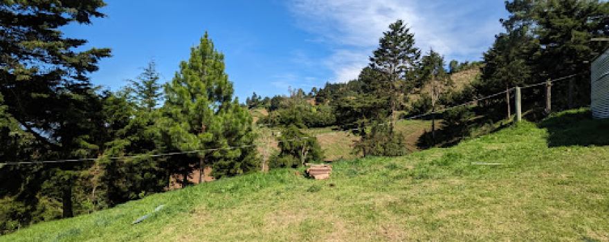 Finca “El Refugio Del Pinabete”