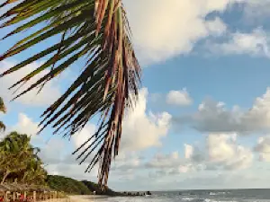 Praia Naturista de Tambaba
