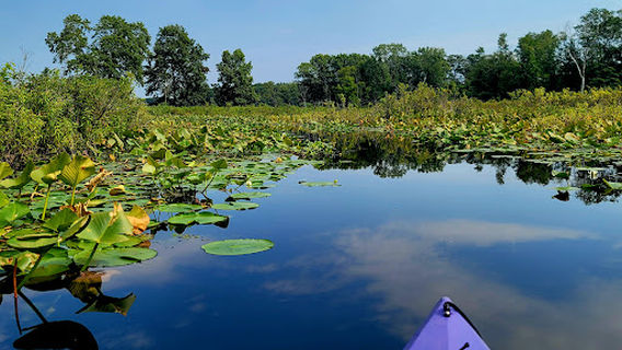 Goff Lake Campground