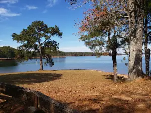 West Over Look Area