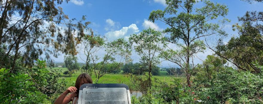 Euroka Lookout