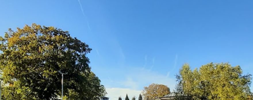 Public Garden