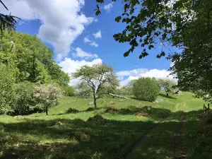 Höö nature reserve
