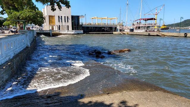Club de Regatas Vasco da Gama