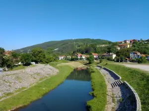 Dimitrovgrad