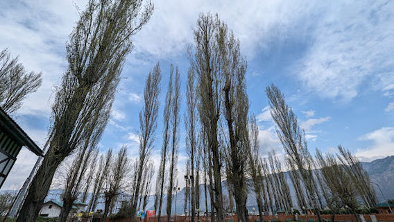 Zabarwan Park زبرون پارک