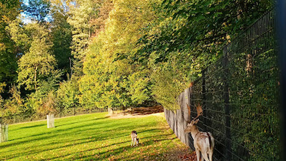 Dierenpark Aambos