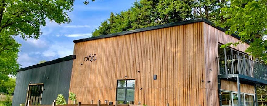 The Dojo Soft Play & Coffee Shop