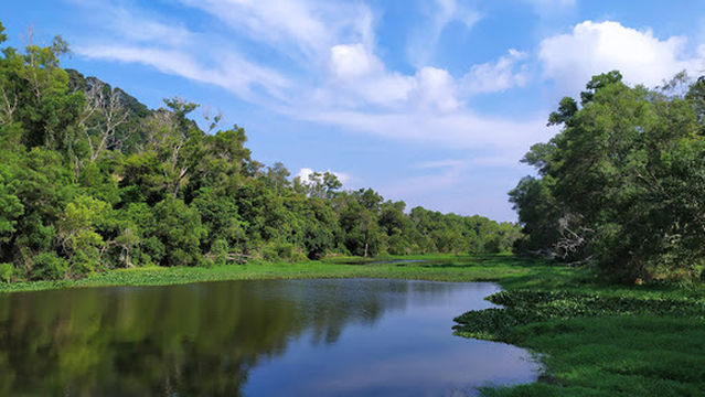 Taman Tasik Tanjung Sura