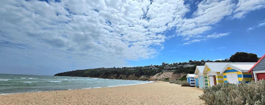 Dog Friendly Beach - Tassells Cove