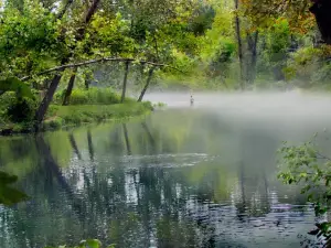Riverfront Campground & Canoe