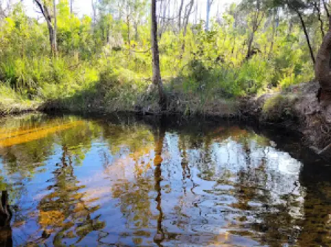 Seary's Creek Day Use Area