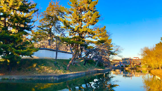 Tsuchiura