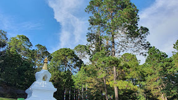 Stupa de la Paz