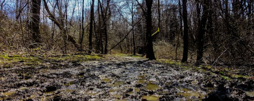 Hilltop Trail