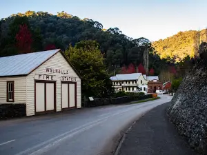 Walhalla North Gardens