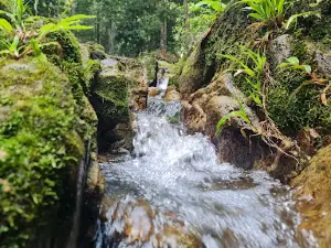 Ulu Serting Recreational Park