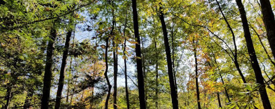 Miller Fork Recreational Preserve