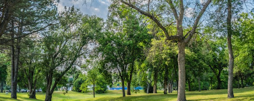 Wayland Park