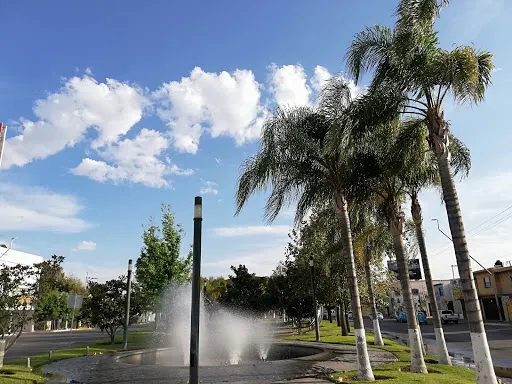 Paseo Blades
