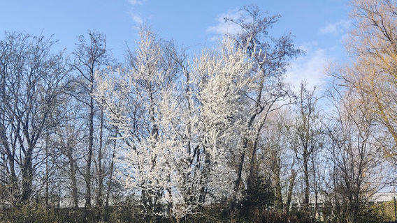 Vallensbaek