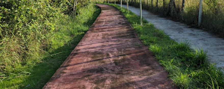 Parque ambiental de Bacabeira