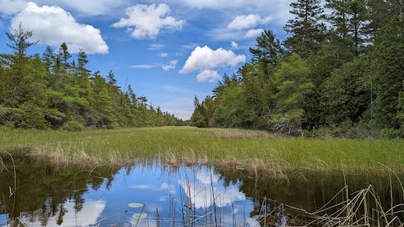 The Ridges Sanctuary