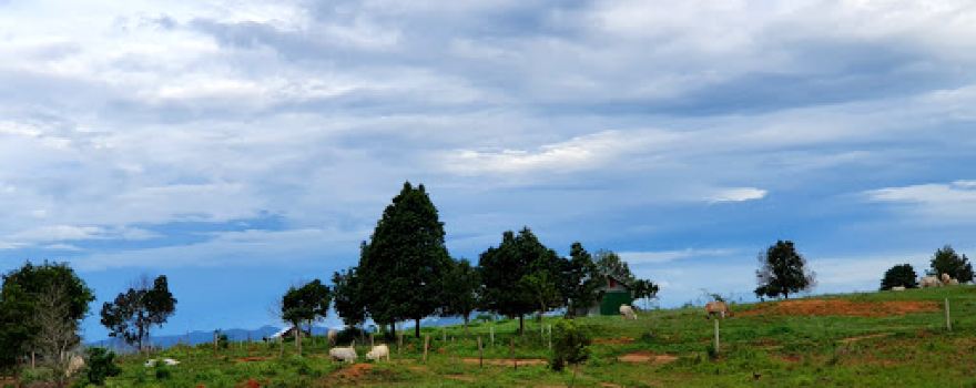 Phnom Pich Nil