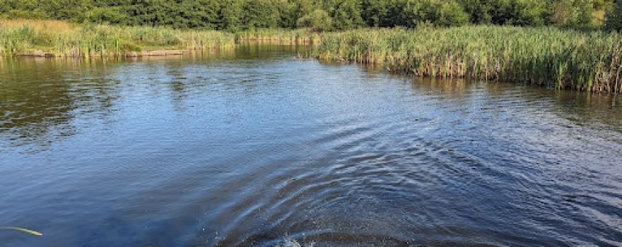Forest Park Nature Reserve