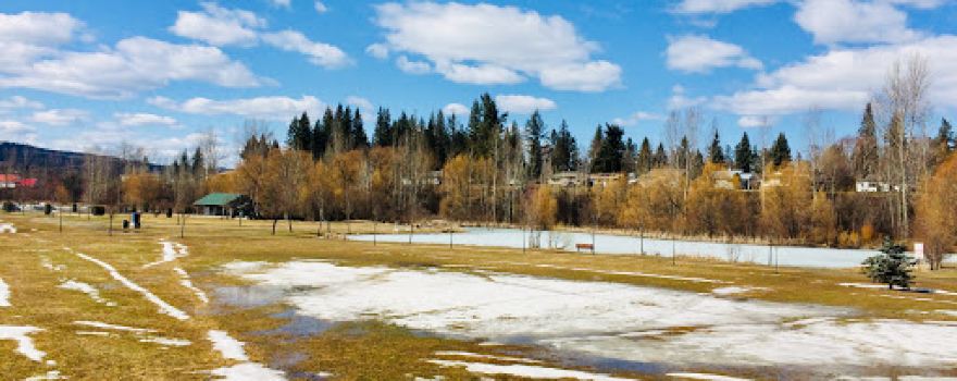 West Fraser Timber Park
