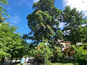 Izvorul Domogled